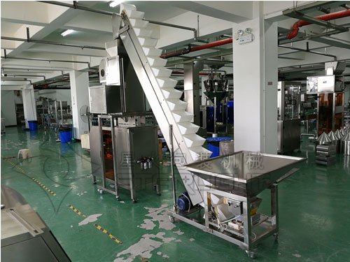 瓜子食品顆粒包裝機械設備